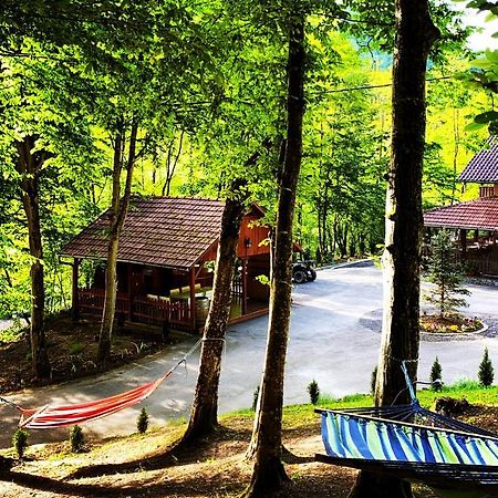 Pensiunea Valea Gepisului Grosi  Exterior photo