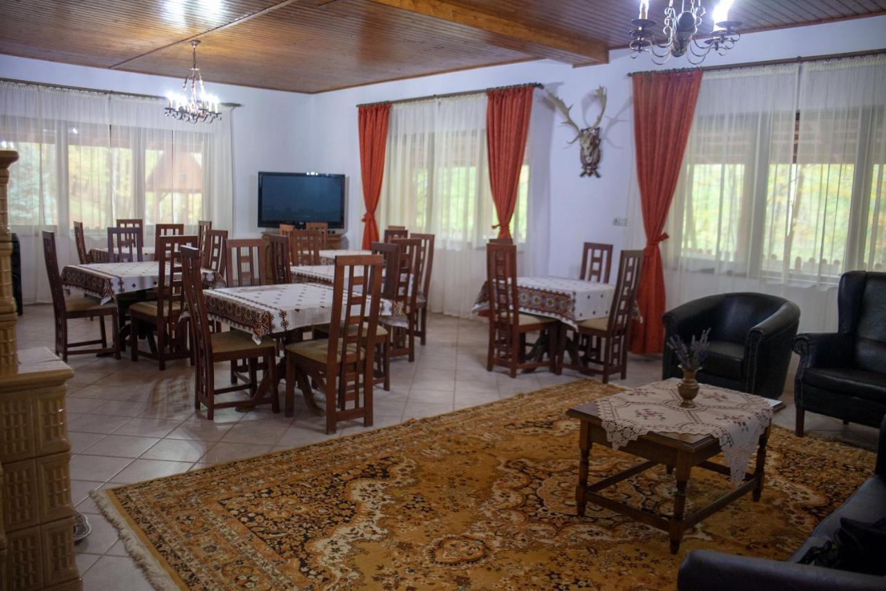 Pensiunea Valea Gepisului Grosi  Exterior photo