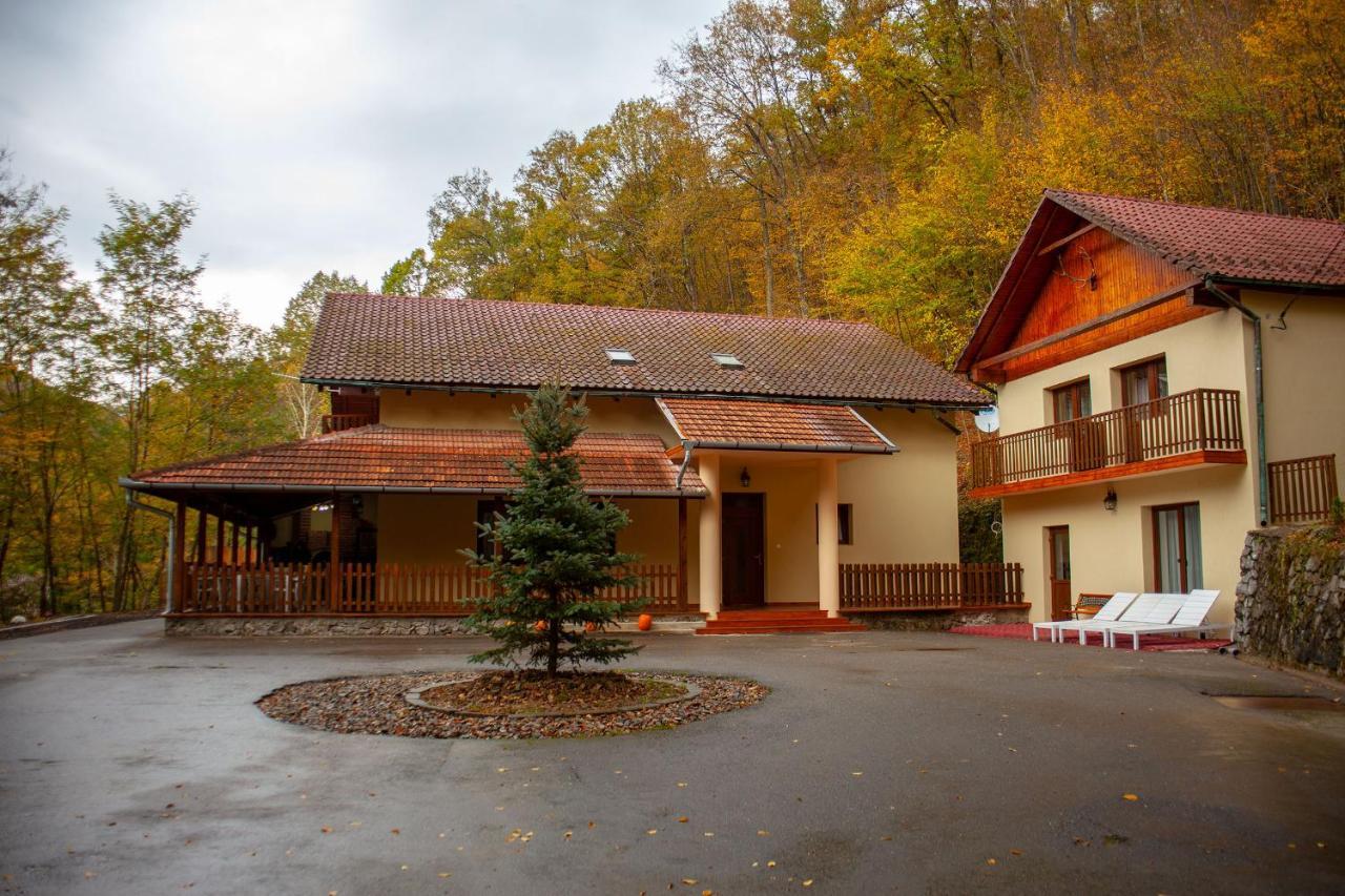 Pensiunea Valea Gepisului Grosi  Exterior photo
